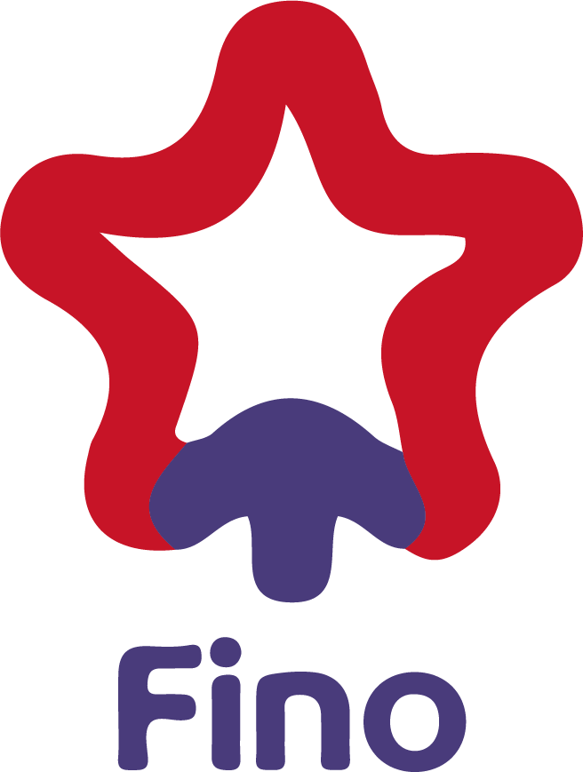 Fino Paytech Ltd unlisted shares